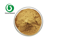 Organic Equisetum Arvense Horsetail Stem Extract Powder