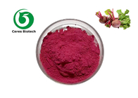 Food Grade Herbal Extract Organic Beta Vulgaris Powder 100%