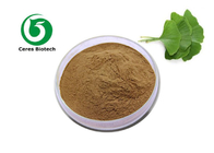 Free Sample ginkgo biloba extract flavonoids terpene lactones ginkgo biloba leaf extract