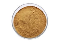 Herbal Turkey Tail Mushroom Extract Coriolus Versicolor Powder 30% Polysaccharide