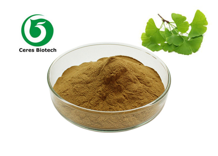 Supply  Bulk Natural Organic Ginkgo Biloba Leaf Extract Powder