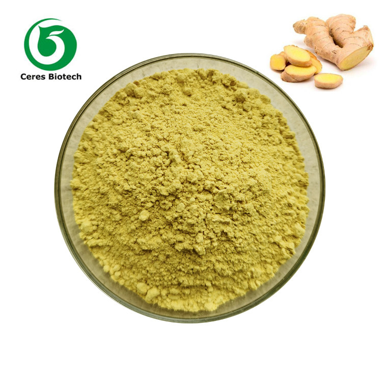 Food Grade Herbal Extract Powder High Purity Ginger Powder 40%