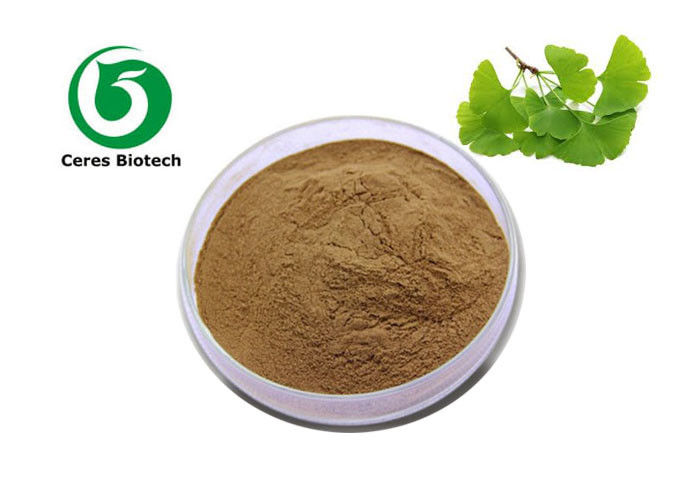 Health Product Organic Ginkgo Biloba Extract 24 6 Flavone Lactones Anti - Wrinkle