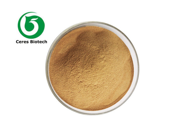 Natural Herbal Extract Powder Flavanol 8% 10% 16% Cassia Nomame Extract Powder