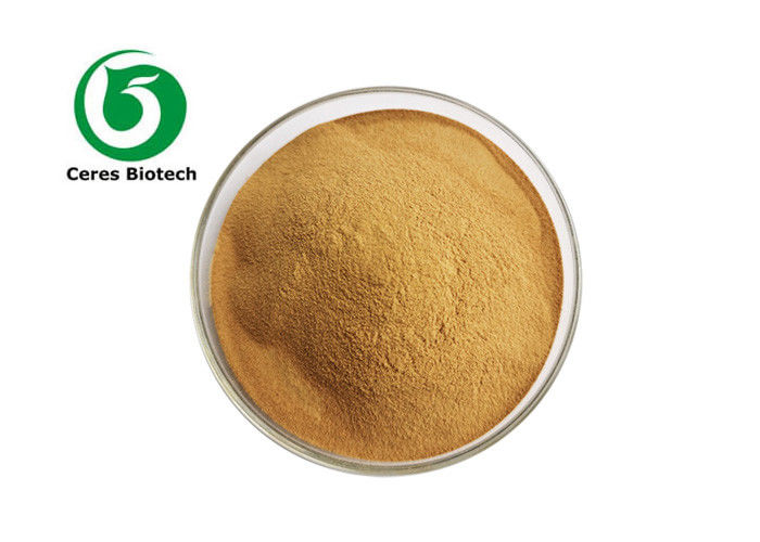 5/1 10/1 20/1 Chasteberry Fruit Extract Powder Health Protect