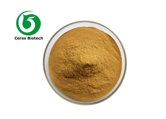 Food Grade Goji Berry Extract Powder Wolfberry Powder 5:1 10:1 20:1