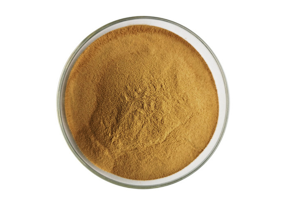 Organic Oyster Mushroom Extract Powder 10% 20% 30% Beta Glucan