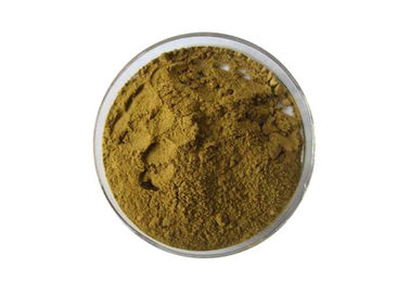 Gbe 761 Ginkgo Biloba Leaf Extract 24% Flavones 6% Lactones Solvent Extraction