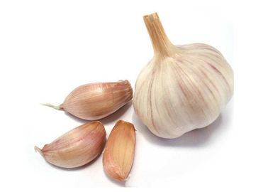 Yellowish Garlic Extract Garlic Oil 98% For Animal Feed Grade Antibiotic Antimicrobial