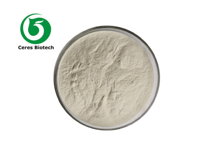 High Quality Food Grade Psyllium Seed Husks Extract Powder