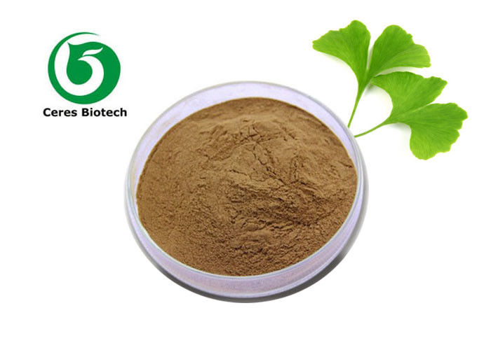 Gbe 761 Ginkgo Biloba Leaf Extract 24% Flavones 6% Lactones Solvent Extraction