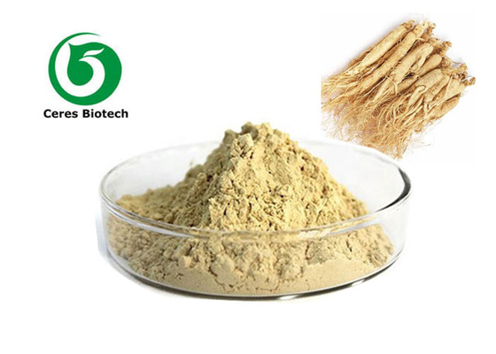 % 5% 20% 80 Ginsenosides ile Sıcak Satış Ginseng Özü Tozu