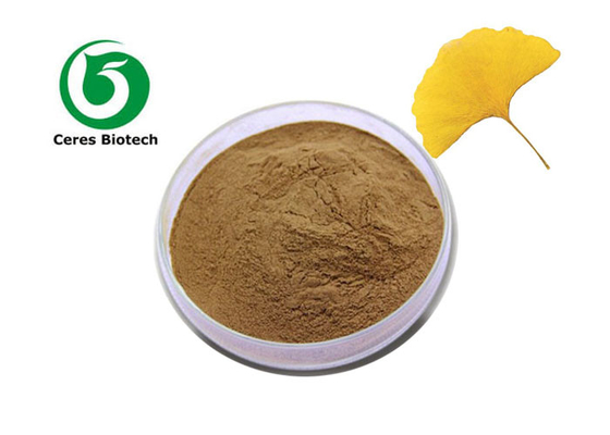 Flavon Aktif Bileşen Top 100% Doğal Ginkgo Biloba Yaprak Ekstraksi Tozu