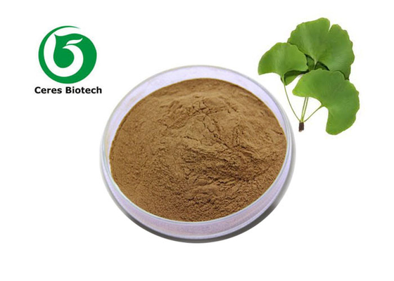 Üstün Ginkgo Biloba Yaprak Ekstraksiyonu Tozu 5ppm Ginkgolik Asit Etanol Ekstraksiyonu En İyi