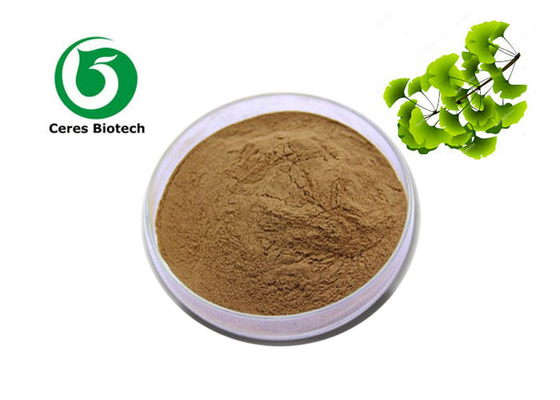 Tedarik Fabrikası Ginkgo Yaprağı Ekstresi Tozu Ginkgo Biloba Ekstresi biloba 6% 24% özü tozu