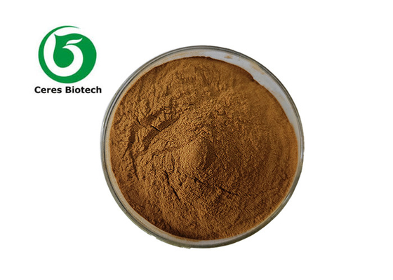 Botanik Kaynak Astragalus Membranaceus'tan Şeker Akçaağacı Özünün Sağlık Faydalarını Ortaya Çıkarın