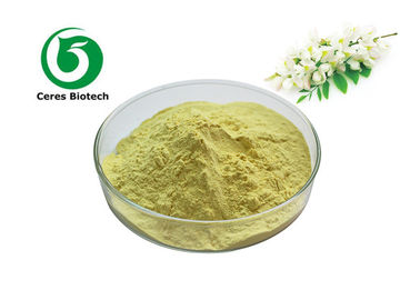 Anti-inflamatuar için Doğal Bitkisel Sophora Japonica Özü Rutin